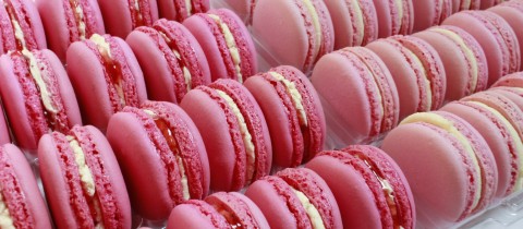 Macarons, Cake Pops, Biscuits and More!